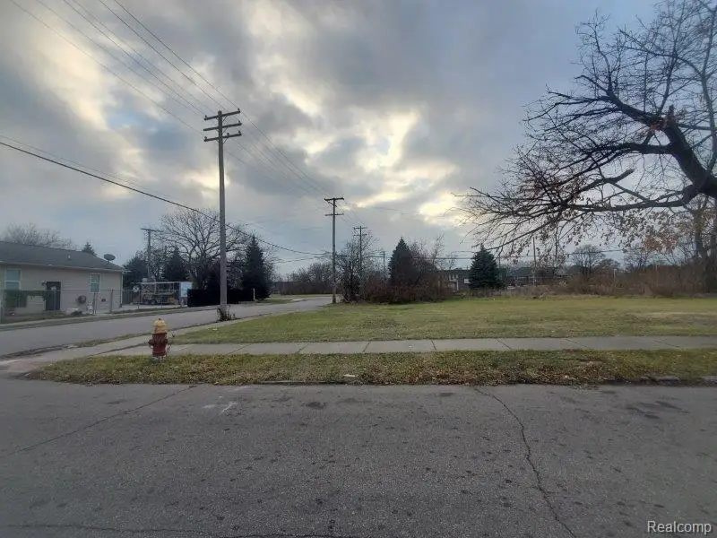 3301 Roosevelt, Detroit, MI 48208 - #3