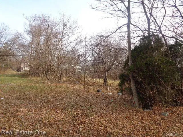 3806 Belvidere, Detroit, MI 48214 - #2