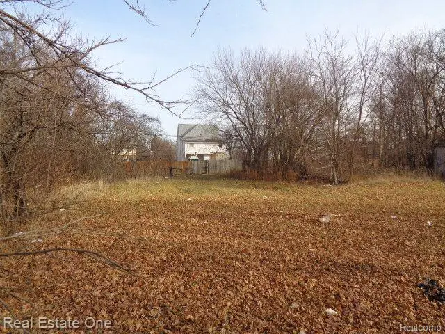 3806 Belvidere, Detroit, MI 48214 - #3