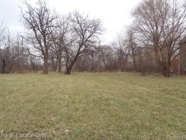 3330 14th, Detroit, MI 48208