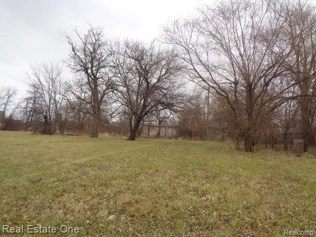 3330 14th, Detroit, MI 48208 - #2