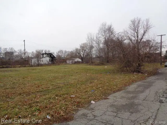2706 Hendricks, Detroit, MI 48207 - #3