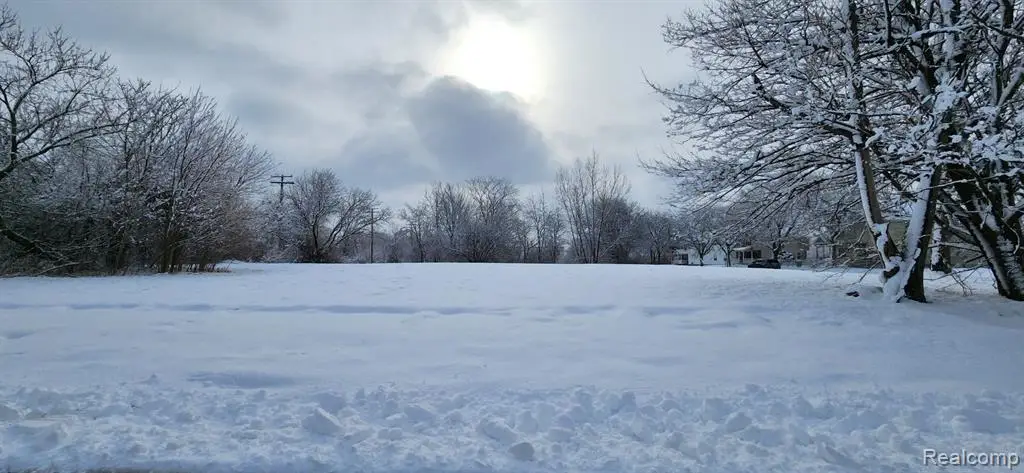 3932 18th, Detroit, MI 48208 - #1