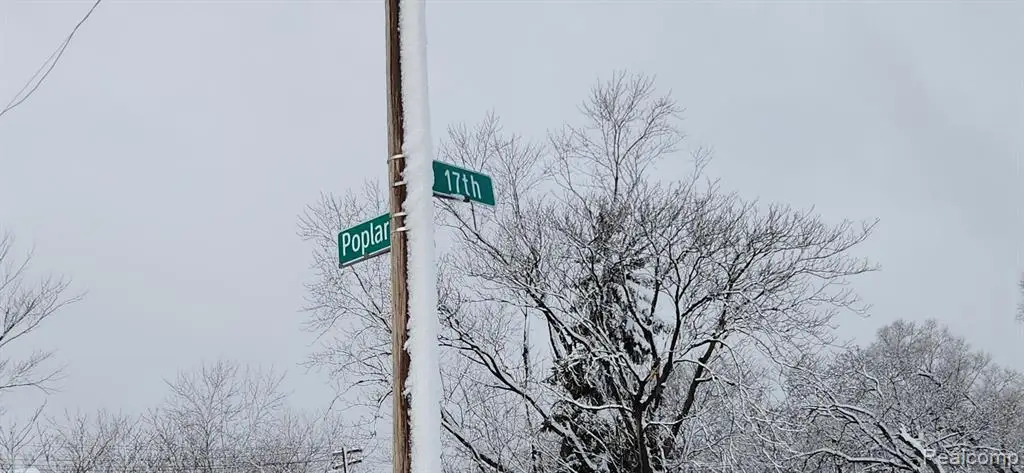 3997 17th, Detroit, MI 48208 - #1