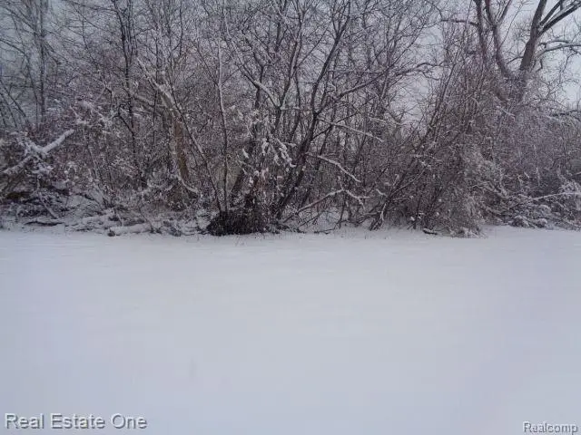 1043 Canton, Detroit, MI 48207 - #3