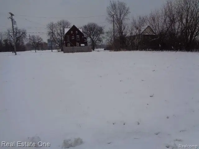 446 Concord, Detroit, MI 48207 - #2
