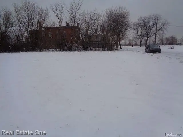 446 Concord, Detroit, MI 48207 - #3