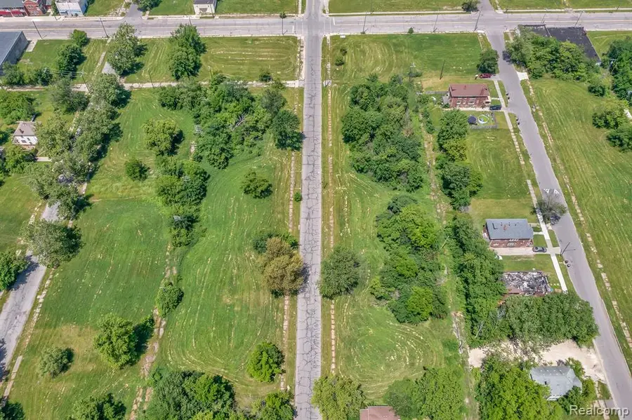 1526 Dickerson, Detroit, MI 48215 - #2