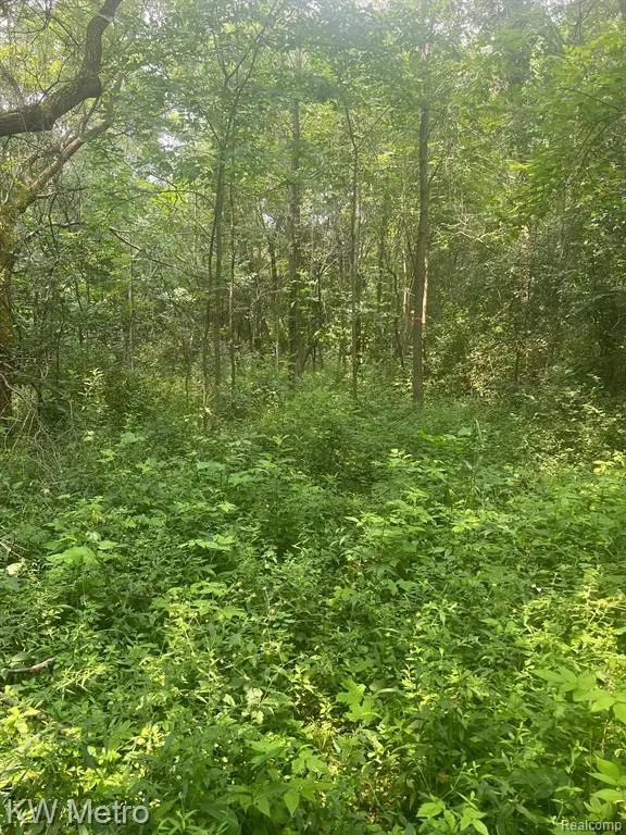 1135 N Baldwin, Oxford, MI 48371 - #2