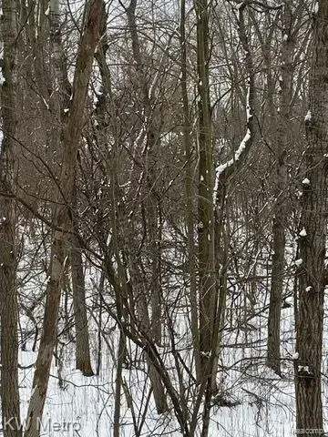 1135 N Baldwin, Oxford, MI 48371 - #3