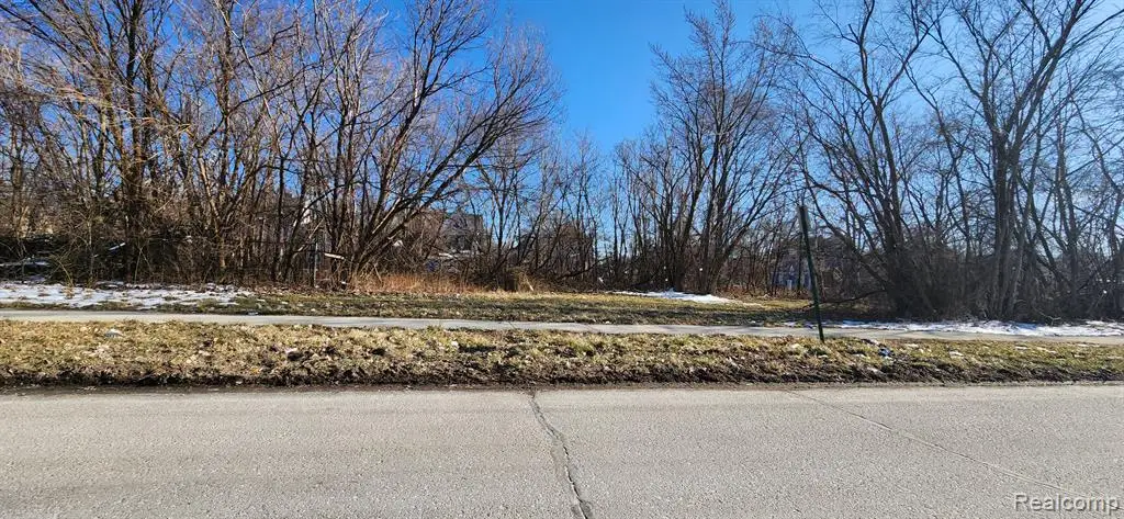 402 E Euclid, Detroit, MI 48202 - #1