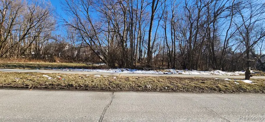 402 E Euclid, Detroit, MI 48202 - #2