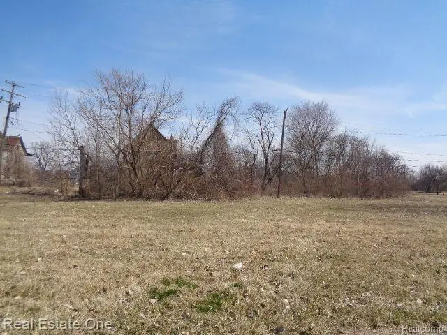 570 Concord, Detroit, MI  - #1