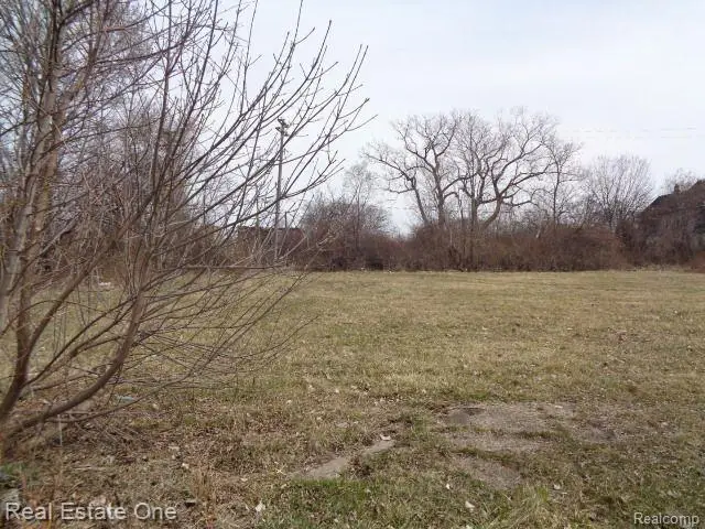 612 Concord, Detroit, MI  - #1