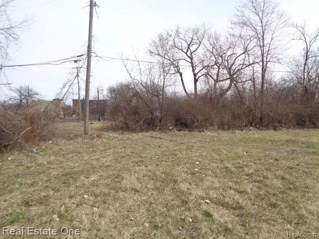 612 Concord, Detroit, MI  - #3