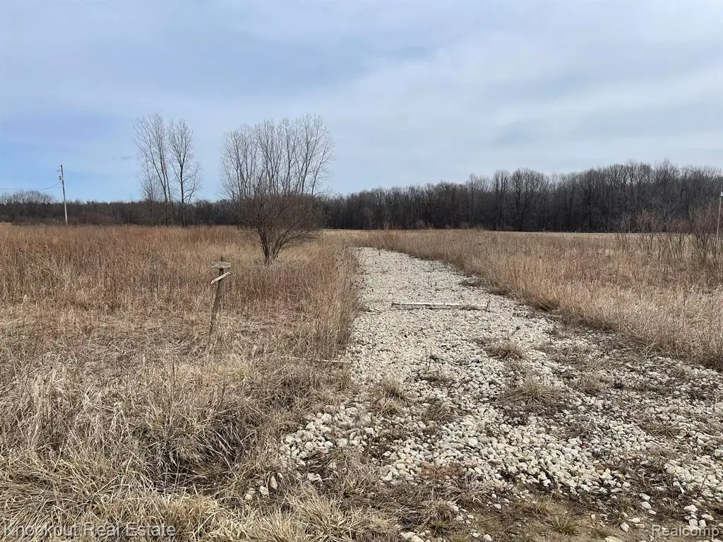 13176 Henderson, Otter Lake, MI 48464 - #1