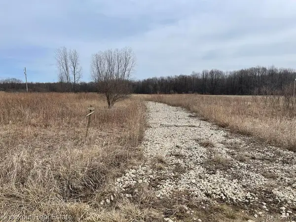 13176 Henderson, Otter Lake, MI 48464