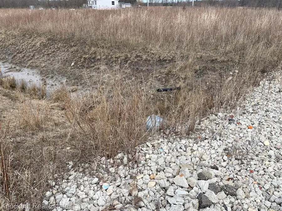 13176 Henderson, Otter Lake, MI 48464 - #2