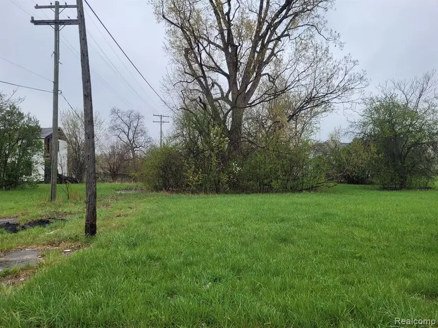 2427 Ash, Detroit, MI  - Image #3