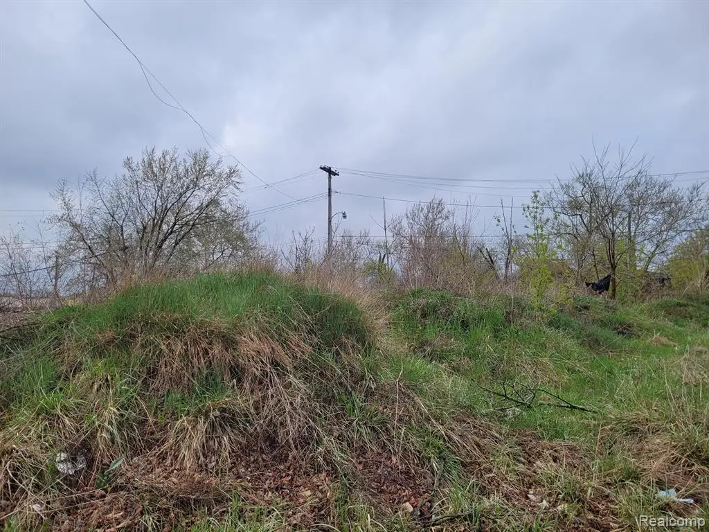 3332 Rochester, Detroit, MI 48206 - #1