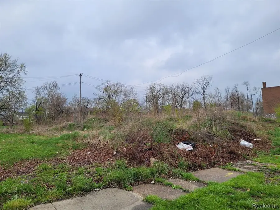 3324 Rochester, Detroit, MI 48206 - #2