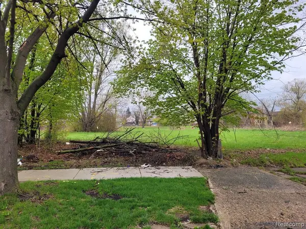 3346 Rochester, Detroit, MI 