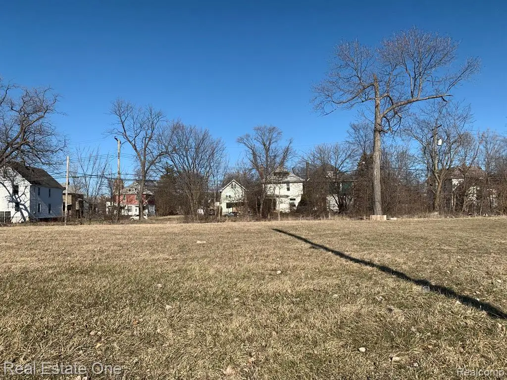 6166 Rosa Parks, Detroit, MI 48208 - Image #1