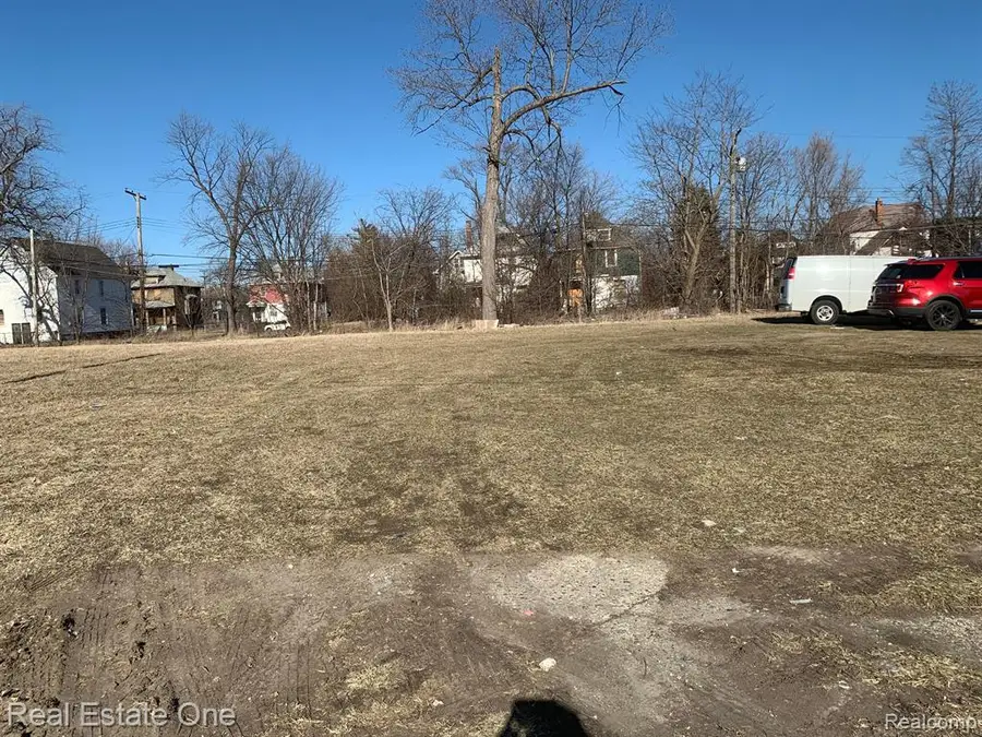 6166 Rosa Parks, Detroit, MI 48208 - Image #2