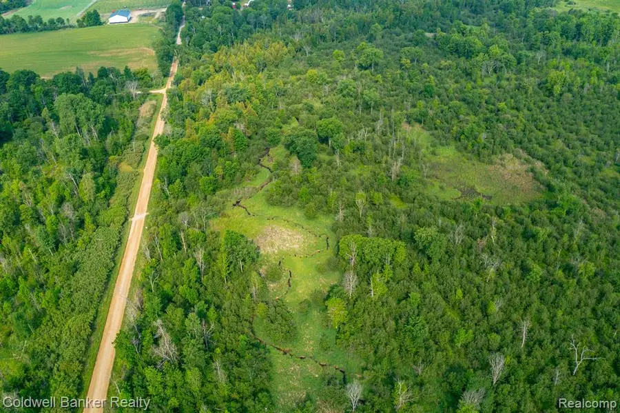 000 Willis, Brown City, MI 48416 - Image #3