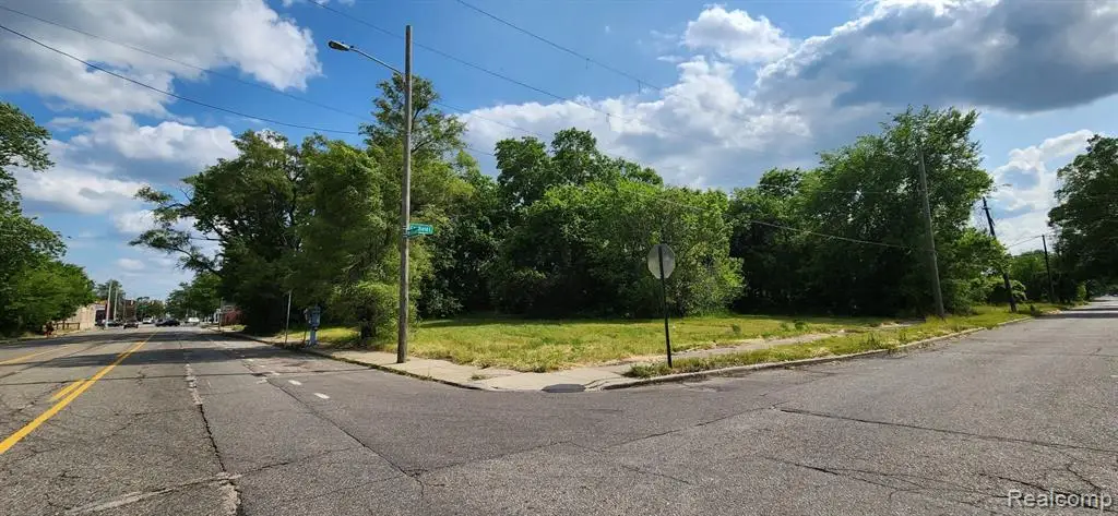 4257 Mount Elliott, Detroit, MI 48207 - #1