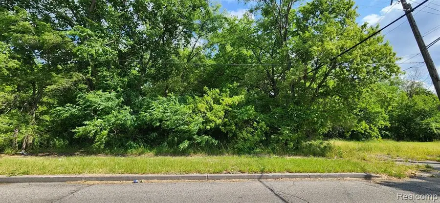 4257 Mount Elliott, Detroit, MI 48207 - #2