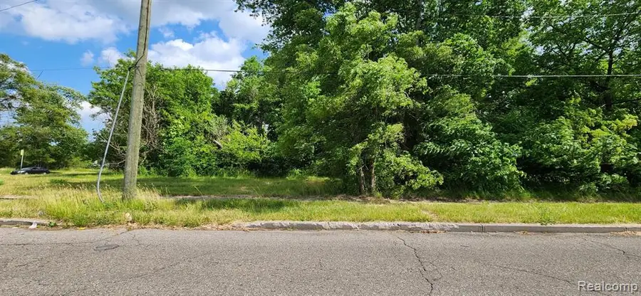 4257 Mount Elliott, Detroit, MI 48207 - #3