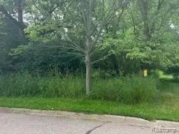 9031 N Island, Flushing, MI 48433 - #3