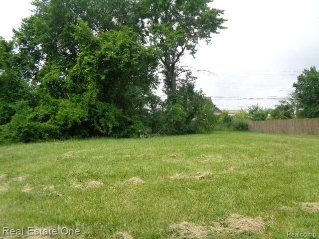 3301 Vinewood, Detroit, MI 48208 - #1