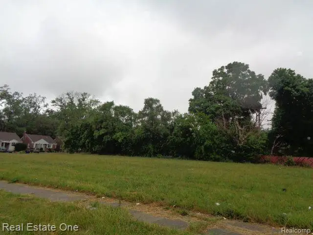 16530 Fullerton, Detroit, MI 48227 - #3