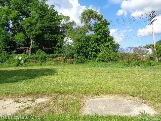 3620 30th, Detroit, MI 48210 - #2