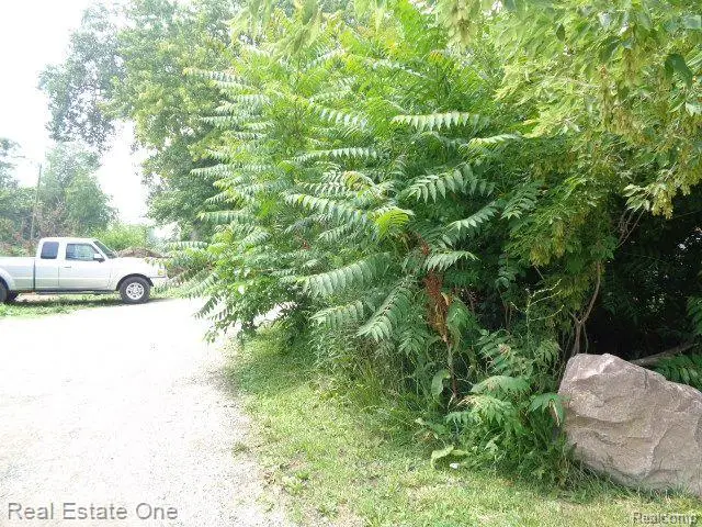 2927 Rosa Parks, Detroit, MI 48216 - #2