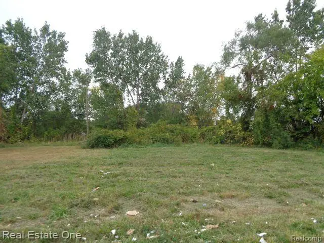 2628 Hunt, Detroit, MI 48207 - #1