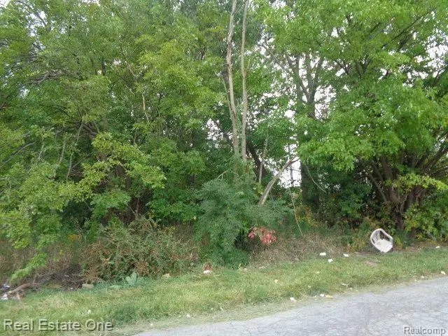 2628 Hunt, Detroit, MI 48207 - #2