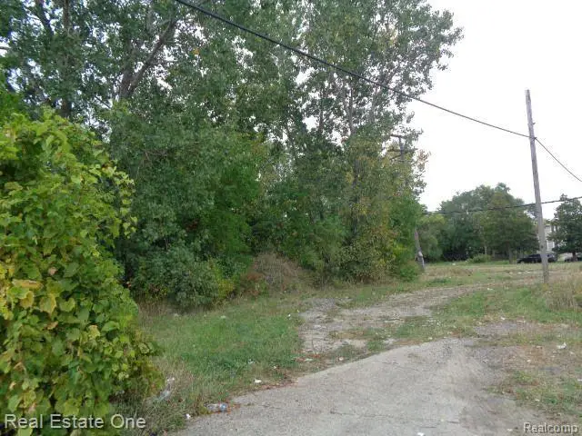 2628 Hunt, Detroit, MI 48207 - #3