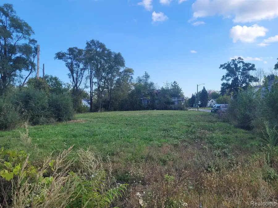 12796 Strasburg, Detroit, MI 48205 - #2