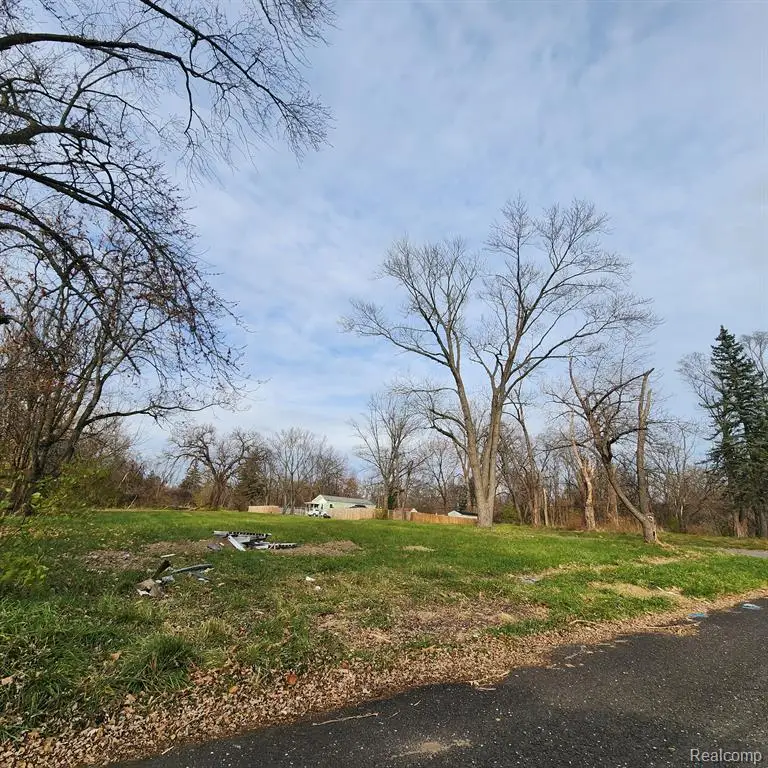 15401 Hazelton, Detroit, MI 48223 - #2