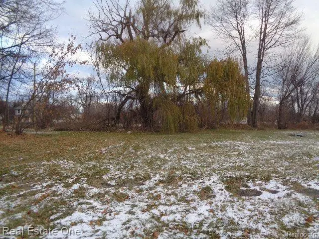 3066 Beals, Detroit, MI  - Image #3