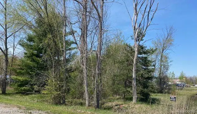 00 Range, Kimball, MI 48074 - Image #2