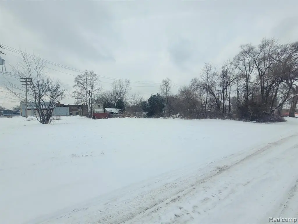 3643 30th, Detroit, MI 48210 - Image #1