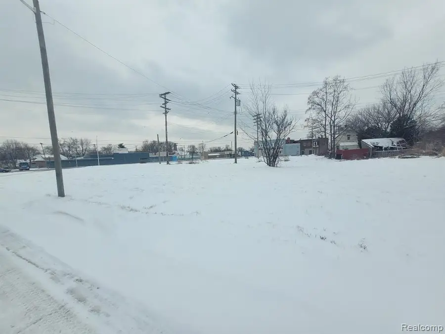 3643 30th, Detroit, MI 48210 - Image #3