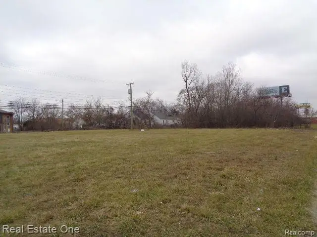 18110 Weaver, Detroit, MI 48228 - #3