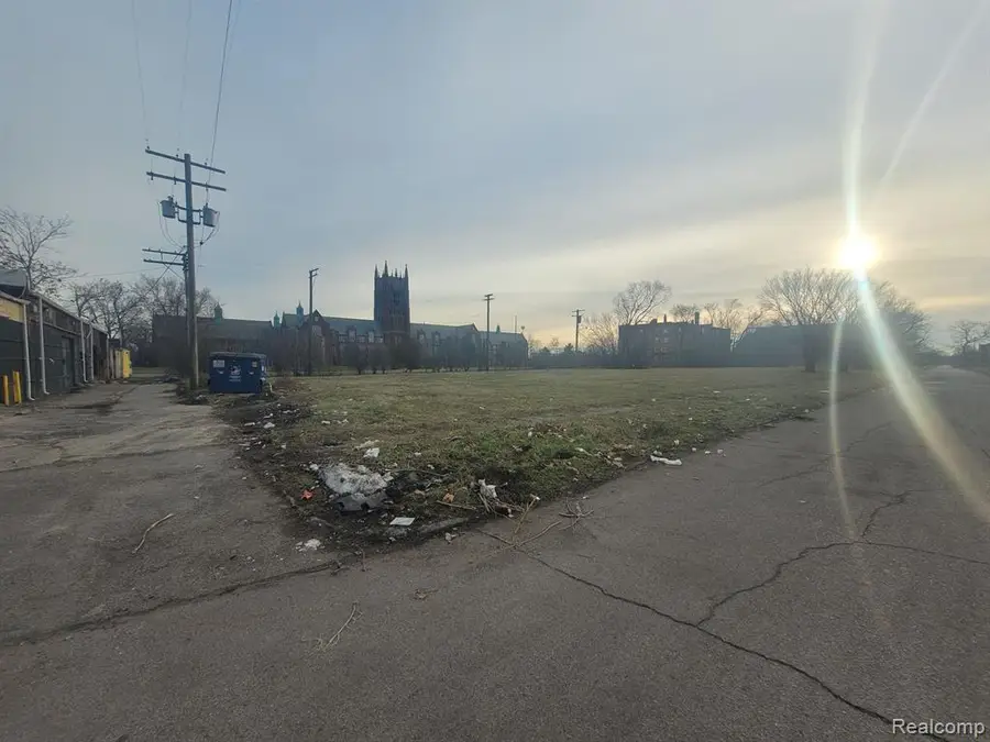 2629 Rochester, Detroit, MI 48206 - Image #3