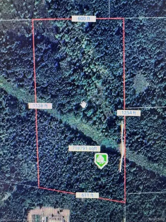 123 N Jerzine, Holly, MI 48442 - Image #2