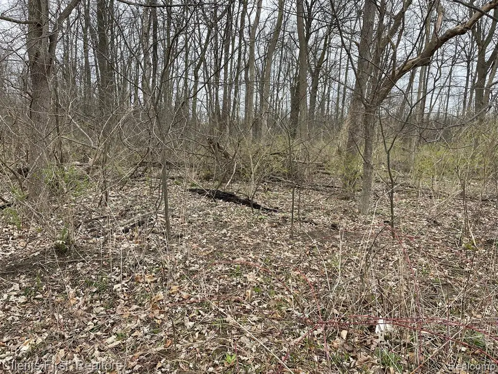 0 Ford Rd., Canton, MI 48187 - #1